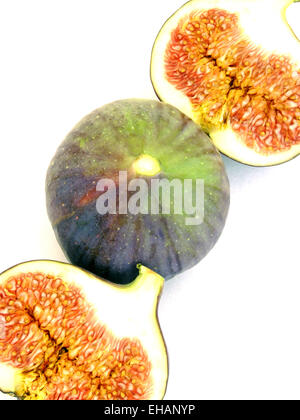 Feige / Feigen (Ficus Carica) Stockfoto