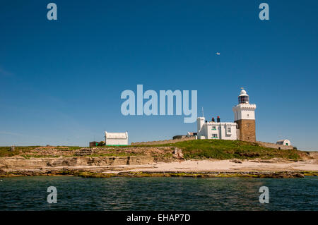 Der Leuchtturm und Strand Coquet Insel Vogel Reserve gesehen von direkt vor der Küste, schlendern Northumberland. Juni. Stockfoto