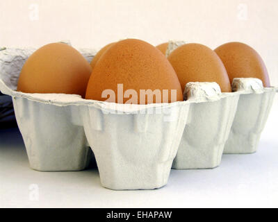 Sechs Eier / sechs Eiern Stockfoto