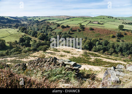 Blick über Bretton Clough, Abney Low, Peak District National Park, Derbyshire Stockfoto