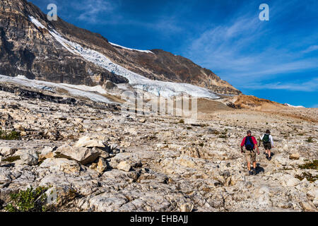 Wanderer auf Iceline Trail, Zungen Smaragd Gletscher unter Präsident Range, Canadian Rockies, Yoho Nationalpark, Britisch-Kolumbien Stockfoto