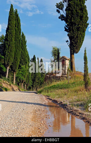 Chianti, Radda in Chianti, Toskana Landschaft, Provinz Siena, Toskana, Italien, Stockfoto