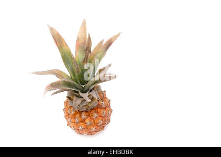 die frische Ananas auf dem weißen Hintergrund Stockfoto