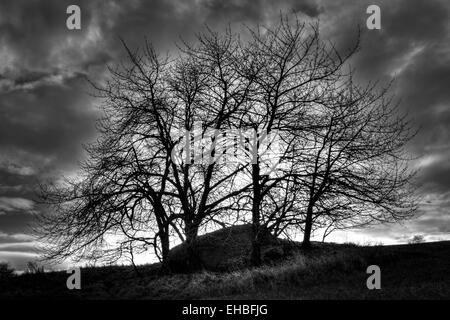 Mystische Monolith versteckt unter Bäumen vor der Sturm B&W Fotografie Stockfoto