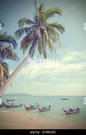 Vintage getönten Palmen am Strand, Sommer Hintergrund. Stockfoto