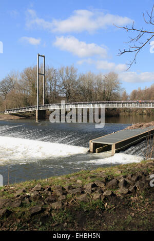 Steg und Fische übergehen Fluss Taff bei Blackweir, Cardiff Stockfoto