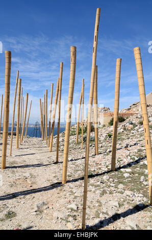 Blasinstrument-musikalische Bambus-Stangen oder musikalische Kunst Installation, den Klang der Wind Les Goudes Marseille France zu erfassen Stockfoto