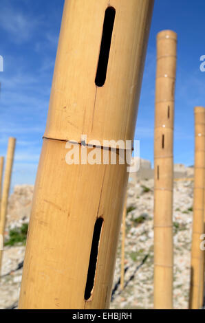 Blasinstrument-musikalische Bambus-Stangen oder musikalische Kunst Installation, den Klang der Wind Les Goudes Marseille France zu erfassen Stockfoto