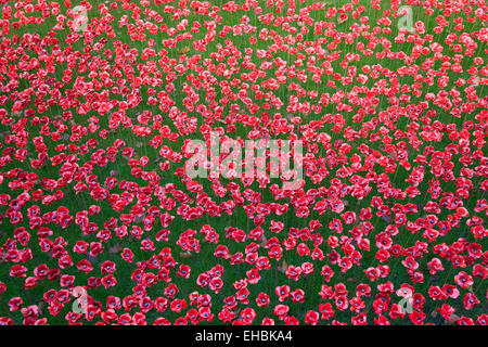 England, London, Tower Hamlets, Tower of London rote Keramik Mohn Kunstinstallation von Künstlern wie Paul Cummins und Tim Piper betitelt Blut Mehrfrequenzdarstellung Land der Meere von rot in den Graben zum Gedenken an 100 Jahre seit dem Beginn des ersten Weltkrieges mit der Anzahl der Mohn passend die britischen Todesfälle. Stockfoto