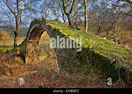 Die Allamanos (oder "Allamanou") steinerne Brücke, in der Nähe von Agia Stadt, Larissa, Thessalien, Griechenland Stockfoto