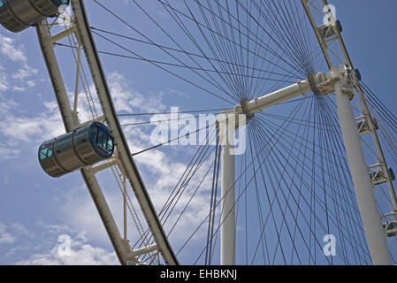 Singapore flyer Stockfoto