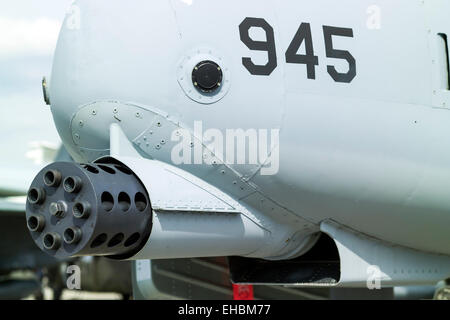 Nase des Fairchild-Republik a-10 Thunderbolt II "Warthog" (Northrop Grumman) mit der Spitze eines die GAU-8/A Rächer Gatling-Kanone. Stockfoto