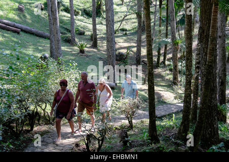 Touristen auf dem Weg in den botanischen Gärten auf Pico Isabel de Torres, Puerto Plata, Dominikanische Republik, Karibik Stockfoto