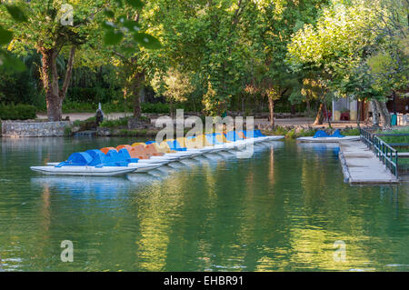 Tretbootfahren auf dem See im Park der Kurie, Portugal Stockfoto