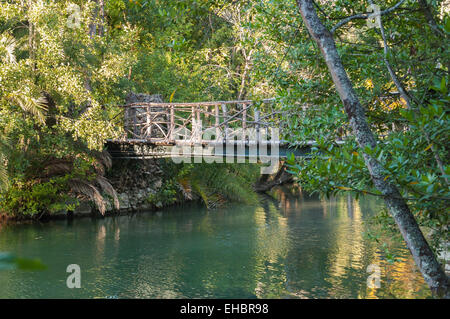 See und Holzbrücke in Curia Park in Portugal Stockfoto