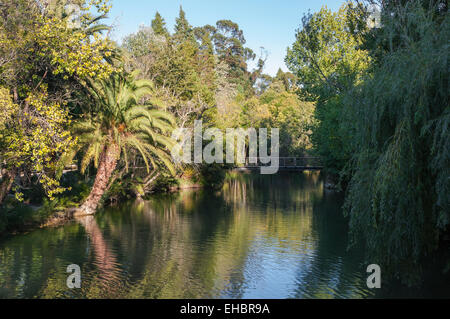 See und Holzbrücke in Curia Park in Portugal Stockfoto