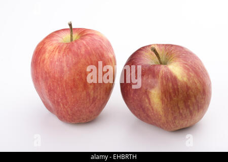 zwei rote Äpfel auf weißem Hintergrund Stockfoto