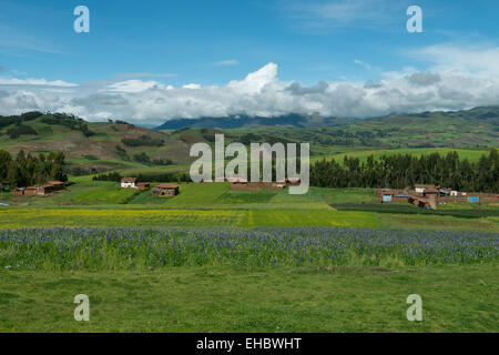 Heiliges Tal, Region Cusco, Urubamba Provinz, Bezirk von Machu Picchu, Peru Stockfoto