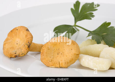 ungekochten Gnocchi Nudeln auf einem Teller Stockfoto