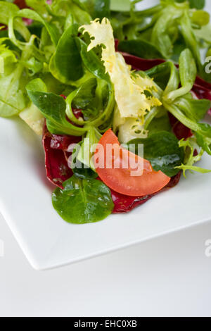 Detail von gemischtem Salat auf einem weißen Teller Stockfoto