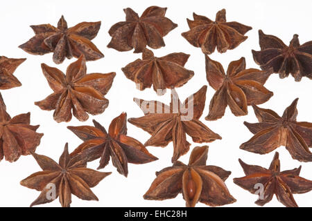 Echter Sternanis, Sternanis, Illicium verum Stockfoto