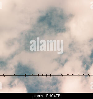 Vögel auf Draht macht gegen blauen Himmel mit Wolken Hintergrund Vintage retro Instagram filter Stockfoto