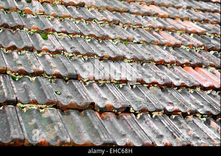 Architektur Detail mit einer alten Ziegeldach mit Moos erschossen Stockfoto