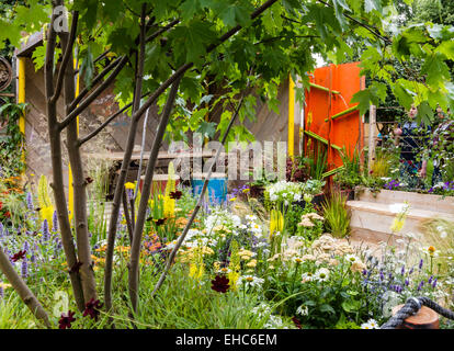 RHS Hampton Court Flower Show Juli 2014 Stockfoto