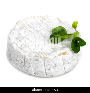 Camembert Käse isoliert Stockfoto