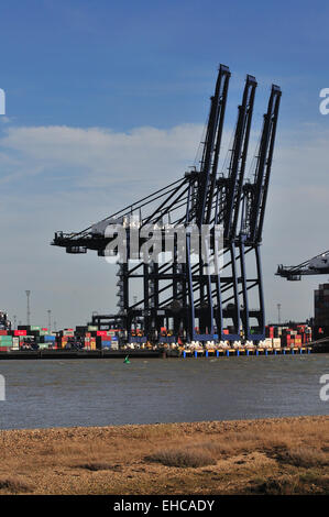 Felixstowe Docks Stockfoto