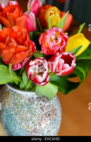 Bunte Tulpen in vase Stockfoto