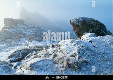 Winter-Morgen um Ramshaw Felsen, in der Nähe von Lauch, Peak District National Park, Staffordshire, England, Vereinigtes Königreich Stockfoto