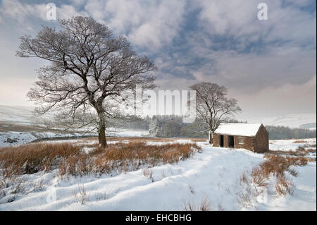Alte Scheune im Winter, in der Nähe von Wildboarclough, Peak District National Park, Cheshire, England, Vereinigtes Königreich Stockfoto