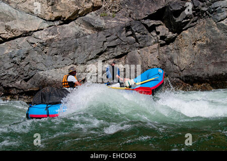 Rafter rudern durch Obere Cliffside Rapid (Klasse IV) auf der mittleren Gabel des Salmon River, Idaho Stockfoto