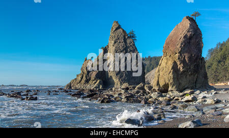 Meer-Stacks auf Washingtons Rialto Beach Stockfoto