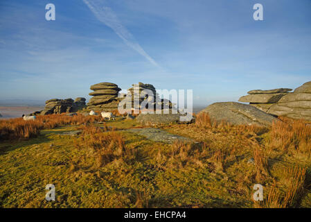 Felsen am Roughtor, Bodmin Moor, Cornwall, UK Stockfoto