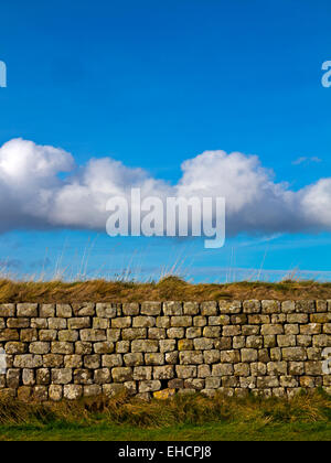 Detail der Hadrianswall in der Nähe von Stahl Rigg in Northumberland Nationalpark Nord-Ost England UK mit blauer Himmel und Wolke oben Stockfoto