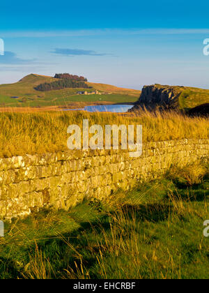 Der Hadrianswall in der Nähe von Stahl-Rigg mit Crag Lough sichtbar in Ferne in Northumberland Nationalpark Nord-Ost England UK Stockfoto