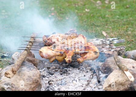 Appetitlich gegrillte Chiken Kebab auf Metall Spieße Stockfoto