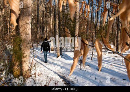 Menschen wandern auf Spuren im Pisgah National Forest in der Nähe von Davidson River - Brevard, North Carolina, USA Stockfoto