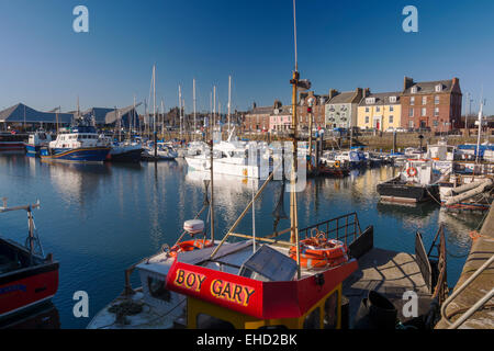 Berufsfischerei Arbroath Hafen port Angus-Schottland Stockfoto