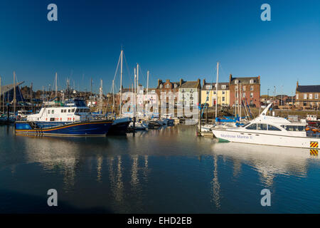 Berufsfischerei Arbroath Hafen port Angus-Schottland Stockfoto