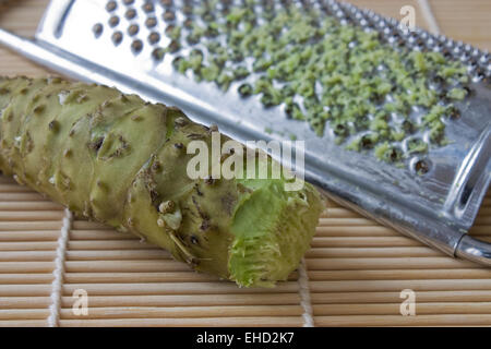 Frischer Wasabi - Frischer Wasabi Stockfoto