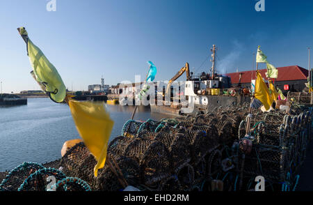 Berufsfischerei Arbroath Hafen port Angus-Schottland Stockfoto