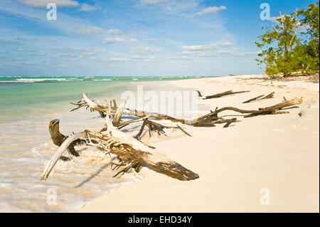 Horizontale Ansicht von einem kubanischen Strand. Stockfoto