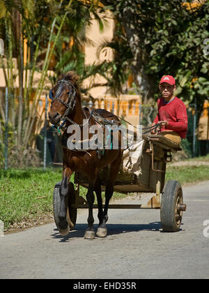 Vertikale Ansicht von einem Pony und Karren in Kuba. Stockfoto