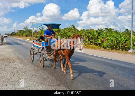 Horizontale Ansicht von Pferd und Kutsche in Kuba. Stockfoto