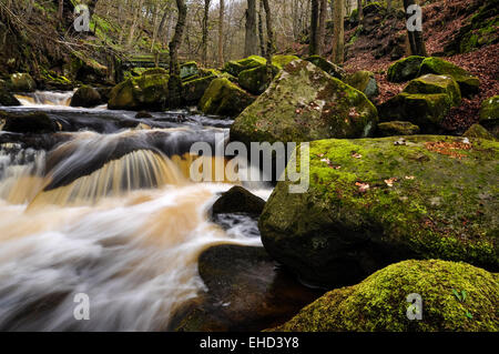 Fließendes Wasser in Padley Gorge im Peak District, Derbyshire. Stockfoto