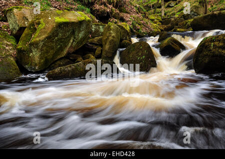 Fließendes Wasser in Padley Gorge im Peak District, Derbyshire. Stockfoto