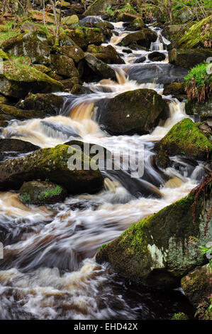 Fließendes Wasser in Padley Gorge im Peak District, Derbyshire. Stockfoto